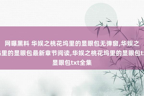 网曝黑料 华娱之桃花坞里的显眼包无弹窗，华娱之桃花坞里的显眼包最新章节阅读，华娱之桃花坞里的显眼包txt全集