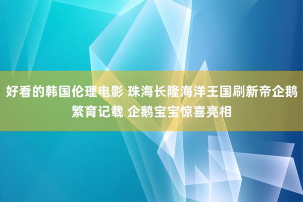 好看的韩国伦理电影 珠海长隆海洋王国刷新帝企鹅繁育记载 企鹅宝宝惊喜亮相