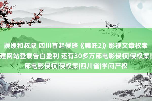媛媛和叔叔 四川首起侵略《哪吒2》影视文章权案件告破：两男人建网站登载告白盈利 还有30多万部电影侵权|侵权案|四川省|学问产权
