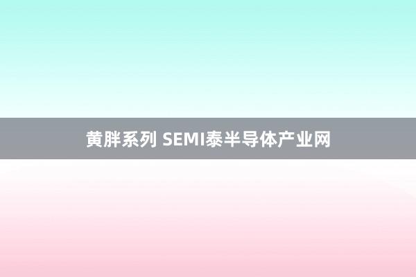 黄胖系列 SEMI泰半导体产业网