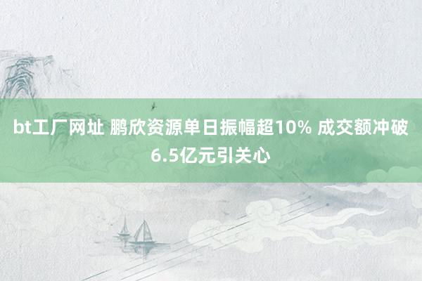 bt工厂网址 鹏欣资源单日振幅超10% 成交额冲破6.5亿元