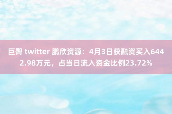 巨臀 twitter 鹏欣资源：4月3日获融资买入6442.