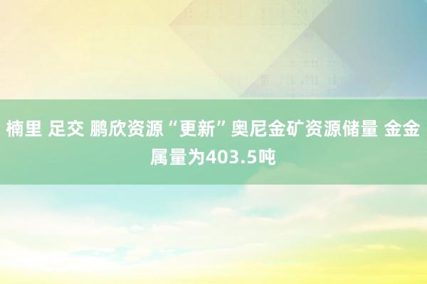 楠里 足交 鹏欣资源“更新”奥尼金矿资源储量 金金属量为40