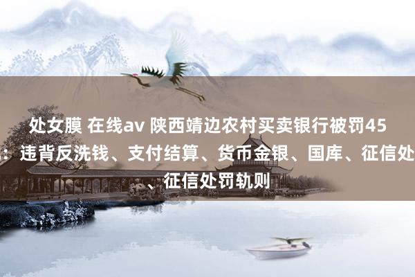 处女膜 在线av 陕西靖边农村买卖银行被罚45.3万元：违背