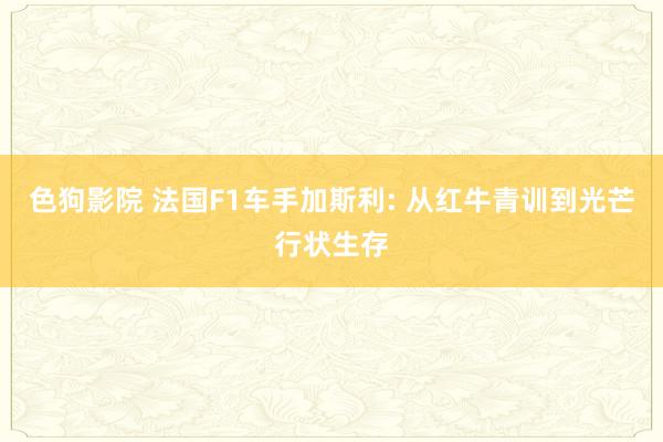 色狗影院 法国F1车手加斯利: 从红牛青训到光芒行状生存