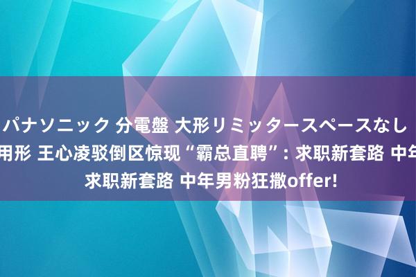 パナソニック 分電盤 大形リミッタースペースなし 露出・半埋