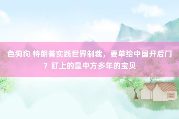 色狗狗 特朗普实践世界制裁，要单给中国开后门？盯上的是中方多