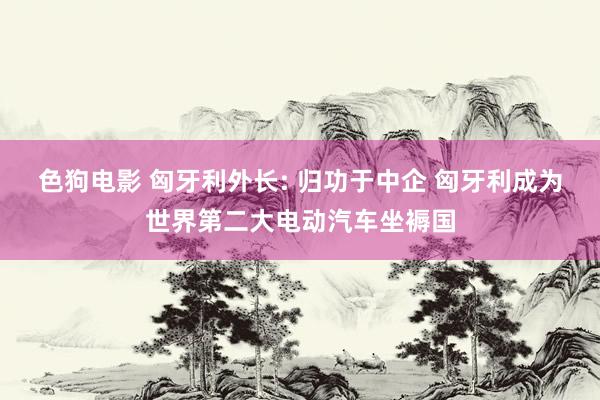 色狗电影 匈牙利外长: 归功于中企 匈牙利成为世界第二大电动