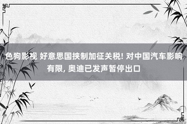 色狗影视 好意思国挟制加征关税! 对中国汽车影响有限, 奥迪