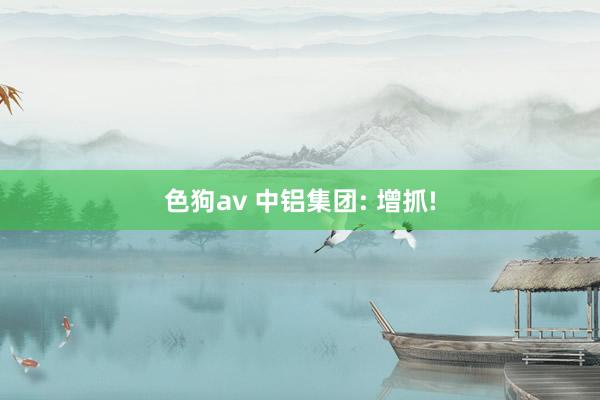 色狗av 中铝集团: 增抓!