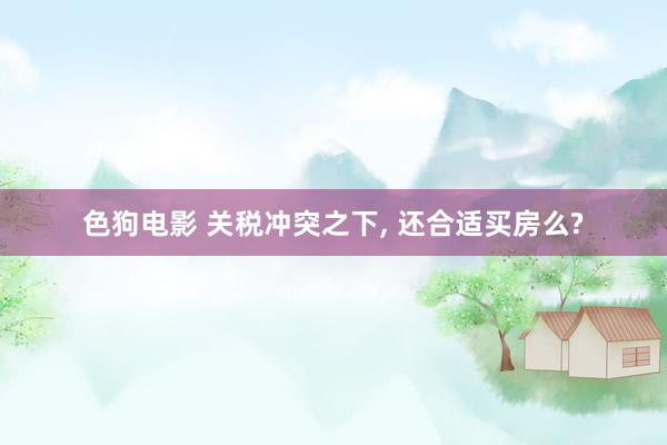 色狗电影 关税冲突之下, 还合适买房么?