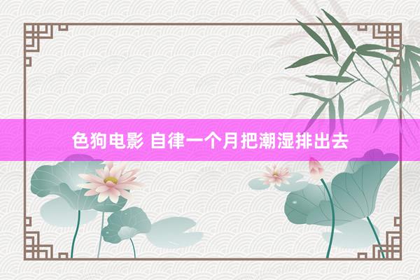 色狗电影 自律一个月把潮湿排出去