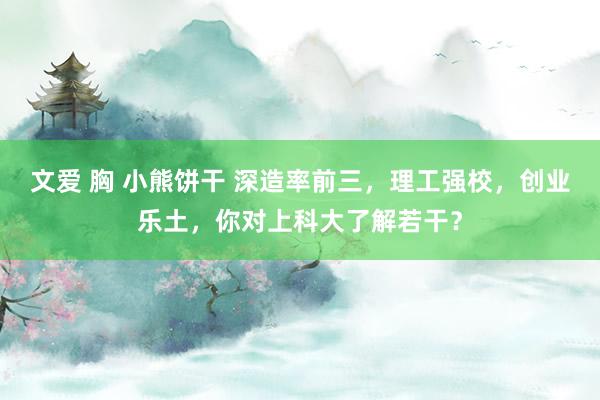 文爱 胸 小熊饼干 深造率前三，理工强校，创业乐土，你对上科大了解若干？
