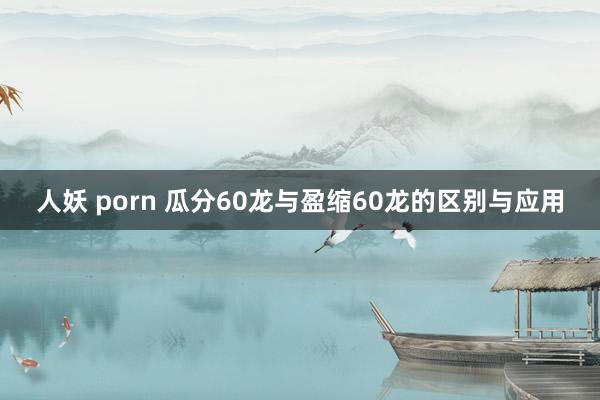 人妖 porn 瓜分60龙与盈缩60龙的区别与应用