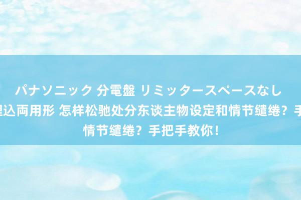 パナソニック 分電盤 リミッタースペースなし 露出・半埋込両