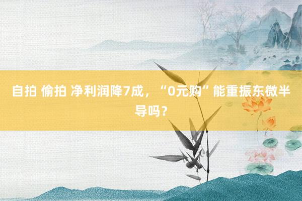 自拍 偷拍 净利润降7成，“0元购”能重振东微半导吗？